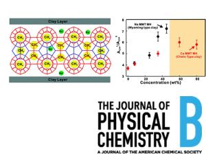 Effect of Interlayer Ions on Methane Hydrate Formation in Clay Sediments