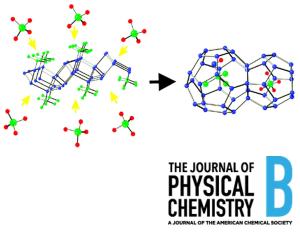 Spectroscopic Observation of Critical Guest Concentration appearing in tert-Butyl Alcohol Clathrate Hydrate