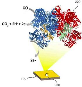 Enzyme-based dissolved carbon monoxide sensor