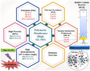 171. Task-specific polymeric membranes to achieve high gas-liquid mass transfer