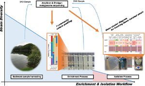 145. Gene-centric metagenome analysis reveals gene clusters for carbon monoxide conversion and validates isolation of a Clostridial acetogen for C2 chemical production