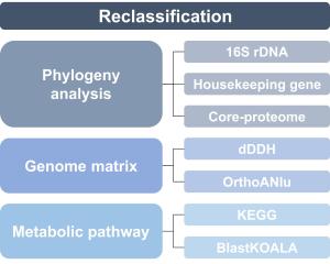 174. Genome-based reclassification of strain KIST612, previously classified as Eubacterium limosum, into a new strain of Eubacterium callanderi