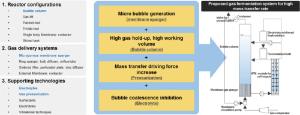 146. Bioreactors, gas delivery systems and supporting technologies for microbial synthesis gas conversion process