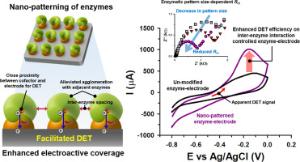 143. Significant enhancement of direct electric communication across enzyme-electrode interface via nano-patterning of synthetic glucose dehydrogenase on spatially tunable gold nanoparticle (AuNP)-modified electrode