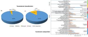 142. Comparative study of the airborne microbial communities and their functional composition in fine particulate matter (PM2.5) under non-extreme and extreme PM2.5 conditions