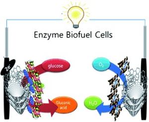 105. Immobilisation of Flavin-Adenine-Dinucleotide-Dependent Glucose Dehydrogenase αSubunit in Free-Standing Graphitised Carbon Nanofiber Paper Using a Bifunctional Cross-Linker for an Enzymatic Biofuel Cell